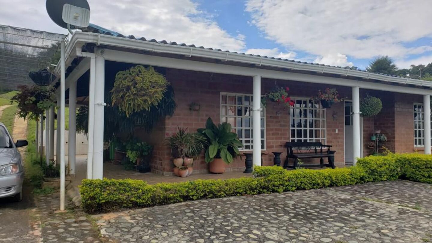 WhatsApp Image 2025-12-11 at 9.29.16 PM